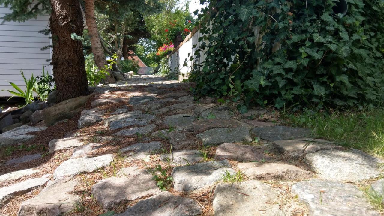 Kamien Baltyku Domki Debina  Eksteriør billede